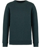 Native Spirit Unisex Crew Nk Sweat
