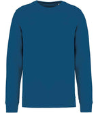 Native Spirit Unisex Crew Nk Sweat