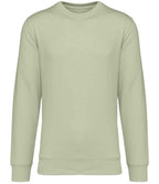 Native Spirit Unisex Crew Nk Sweat