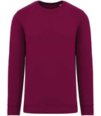 Native Spirit Unisex Crew Nk Sweat