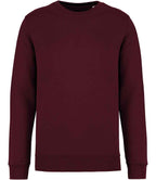 Native Spirit Unisex Crew Nk Sweat