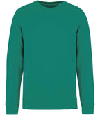 Native Spirit Unisex Crew Nk Sweat