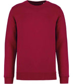 Native Spirit Unisex Crew Nk Sweat