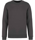 Native Spirit Unisex Crew Nk Sweat