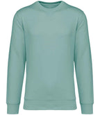 Native Spirit Unisex Crew Nk Sweat