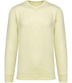 Native Spirit Unisex Crew Nk Sweat