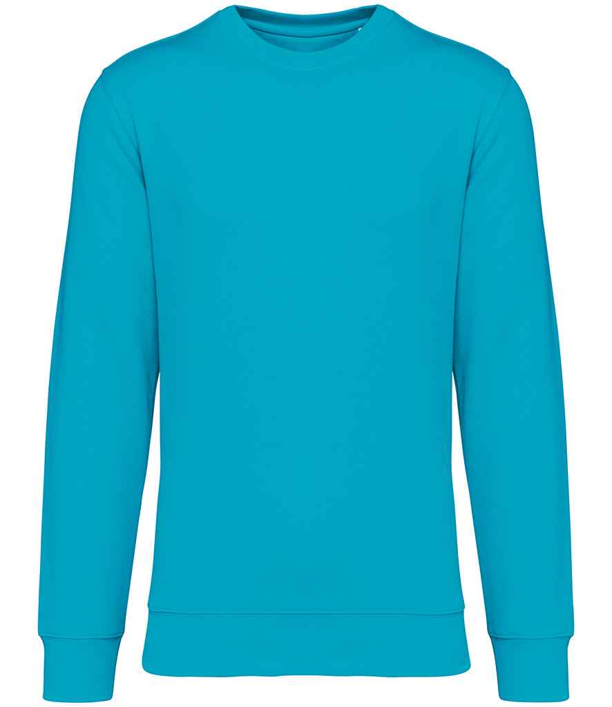 Native Spirit Unisex Crew Nk Sweat