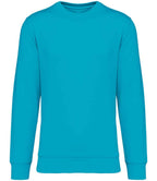 Native Spirit Unisex Crew Nk Sweat