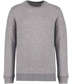 Native Spirit Unisex Crew Nk Sweat