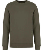 Native Spirit Unisex Crew Nk Sweat