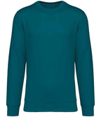 Native Spirit Unisex Crew Nk Sweat