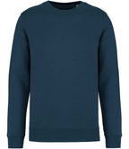 Native Spirit Unisex Crew Nk Sweat