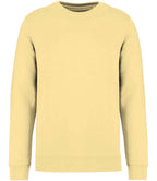 Native Spirit Unisex Crew Nk Sweat