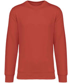 Native Spirit Unisex Crew Nk Sweat