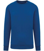 Native Spirit Unisex Crew Nk Sweat