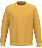 Native Spirit Unisex Crew Nk Sweat