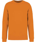 Native Spirit Unisex Crew Nk Sweat