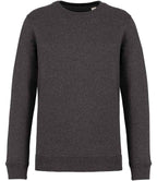Native Spirit Unisex Crew Nk Sweat