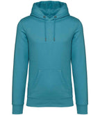 Native Spirit Hooded Sweatshirt