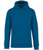 Native Spirit Hooded Sweatshirt