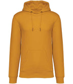 Native Spirit Hooded Sweatshirt