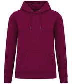 Native Spirit Hooded Sweatshirt