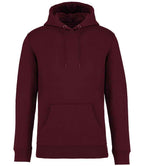 Native Spirit Hooded Sweatshirt