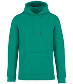 Native Spirit Hooded Sweatshirt
