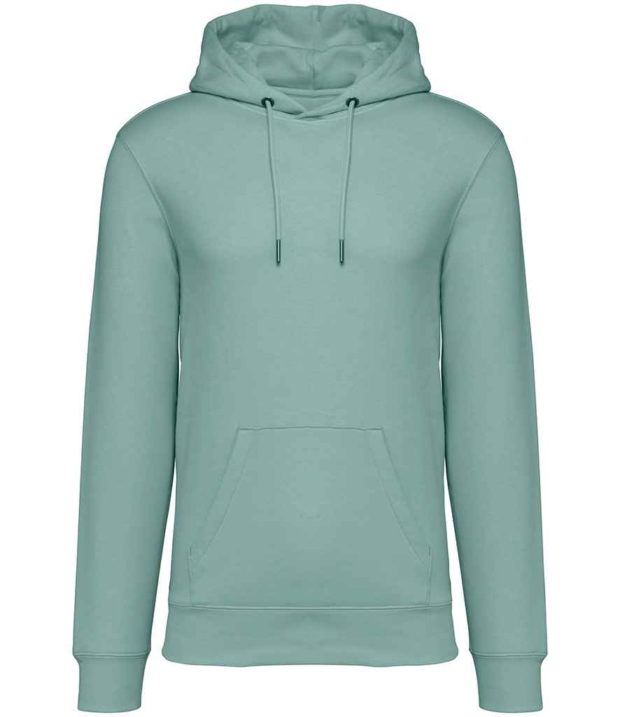 Native Spirit Hooded Sweatshirt