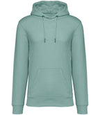 Native Spirit Hooded Sweatshirt
