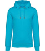 Native Spirit Hooded Sweatshirt