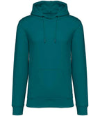 Native Spirit Hooded Sweatshirt