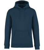Native Spirit Hooded Sweatshirt