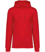 Native Spirit Hooded Sweatshirt