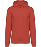 Native Spirit Hooded Sweatshirt