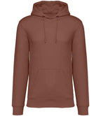 Native Spirit Hooded Sweatshirt