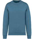 Nat. Spirit Unisex Oversized Sweatshirt