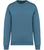 Nat. Spirit Unisex Oversized Sweatshirt