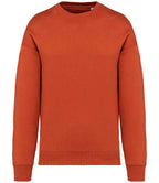 Nat. Spirit Unisex Oversized Sweatshirt