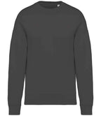 Nat. Spirit Unisex Oversized Sweatshirt