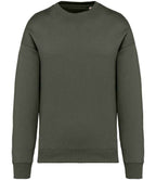 Nat. Spirit Unisex Oversized Sweatshirt