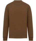 NS407 Toffee Back