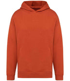 Native Spirit Oversized Hoodie