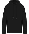 Native Spirit Unisex Terry 280 Hoodie