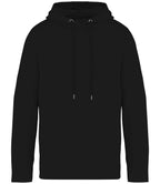 Native Spirit Unisex Terry 280 Hoodie