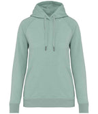 Native Spirit Lds. Raglan Slv. Hoodie