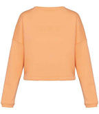 NS429 Apricot Back