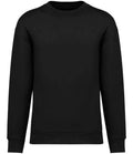 Native Spirit Crew Neck SweatShirt