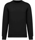 Native Spirit Crew Neck SweatShirt