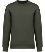 Native Spirit Crew Neck SweatShirt